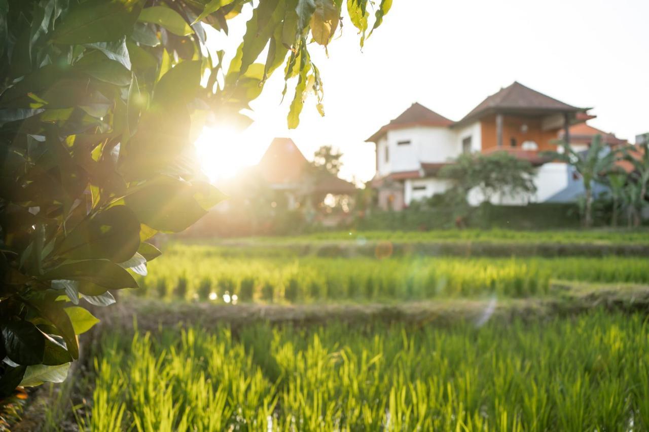 Nick'S Pension Hotel Ubud Exterior foto