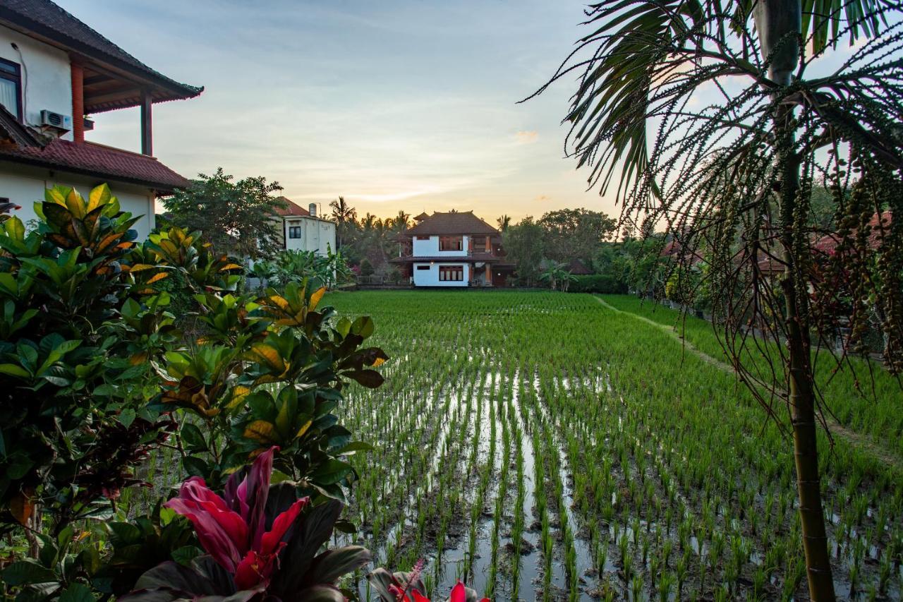 Nick'S Pension Hotel Ubud Exterior foto