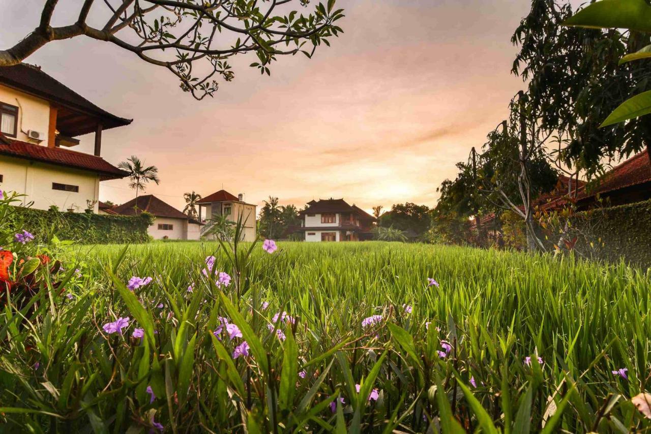 Nick'S Pension Hotel Ubud Exterior foto